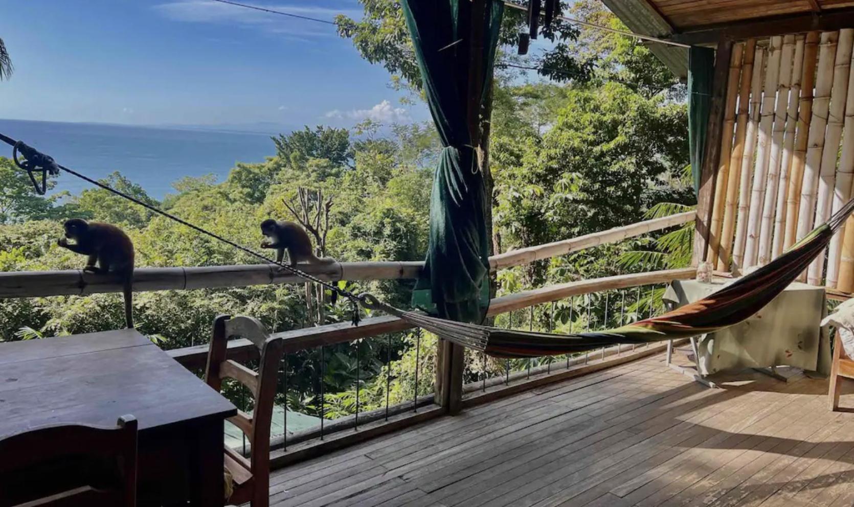 Beautiful Rustic Treehouse Hotel Manuel Antonio Кепос Экстерьер фото